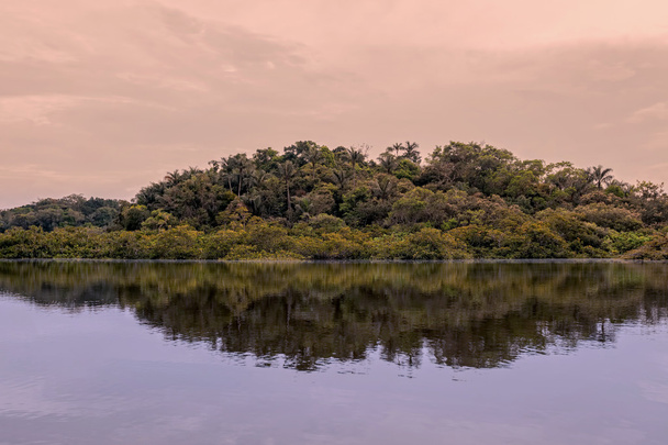 Laguna Grande, jezero na řece Cuyabeno - Fotografie, Obrázek