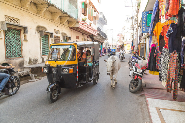 View along streets of Udaipur - Photo, image