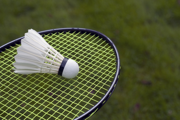 groen gras badminton - Foto, afbeelding