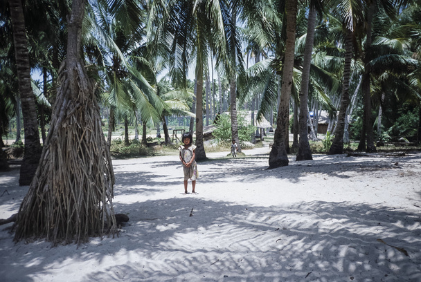 PHILIPPINES, Dakak Island; 25 March 2001, kids and coconut palm trees in a fishermen village  - EDITORIAL (FILM SCAN) - Фото, изображение