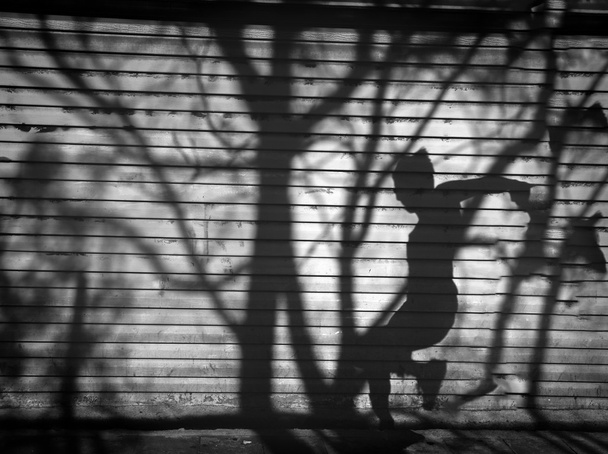 Crepúsculo um homem e sombra de árvore refletida na parede
.  - Foto, Imagem