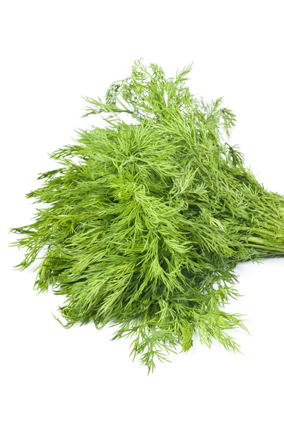Bunch of Fresh Dill Isolated on White - Photo, Image