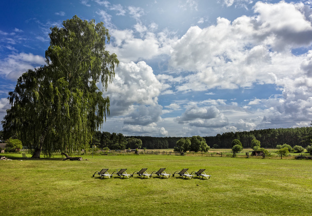 chaises longues debout sur une prairie
 - Photo, image