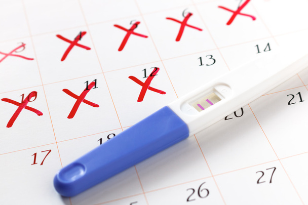 Тест на вагітність з позитивним результатом, що лежить на календарі
 - Фото, зображення