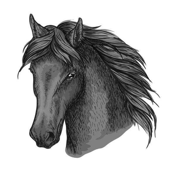 Sakin bir görünüme sahip at kafası portresi - Vektör, Görsel