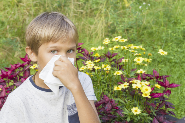 子供が彼の鼻を吹いています。花は、彼の後ろに緑の草原。医療、医学、アレルギーの概念. - 写真・画像