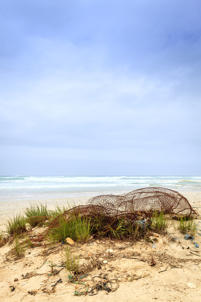 Παραλία Al Mughsayl - Φωτογραφία, εικόνα