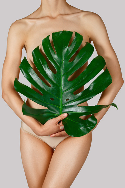 naakte vrouwelijk lichaam bedekt met tropisch woud blad - Foto, afbeelding