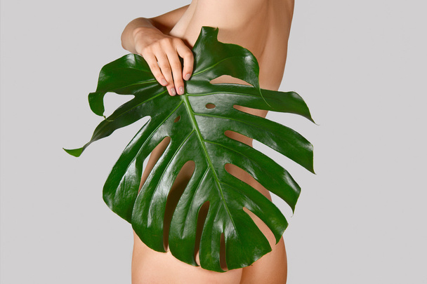 naked female body covered with palmtree leaf - Foto, imagen
