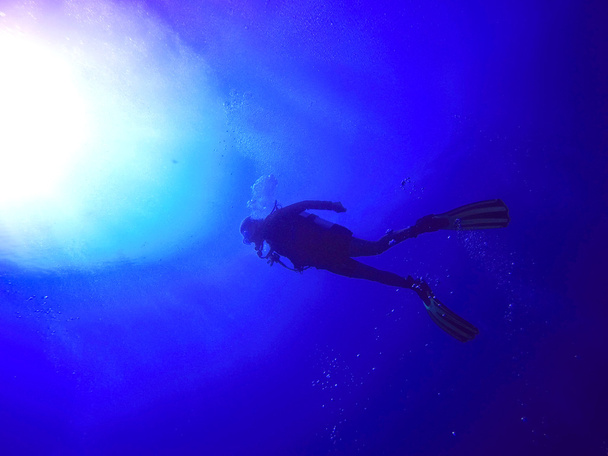 Силуэт подводного плавания - Фото, изображение