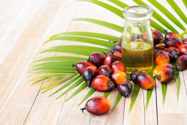 Cultivo comercial de aceite de palma. Dado que el aceite de palma contiene más
  - Foto, imagen
