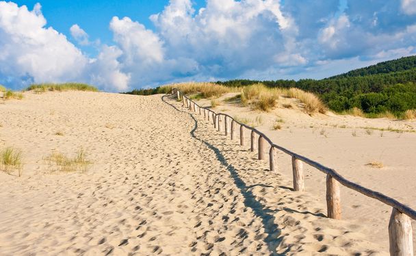 Песчаная дюна в Литве 2
 - Фото, изображение