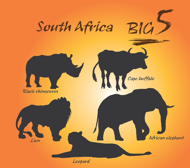 Big five wildlife in Africa. Vector Arts, illustration. - Vector, Image