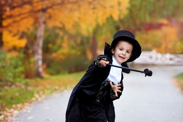 Cute boy in the park, wearing magician costume for Halloween - 写真・画像
