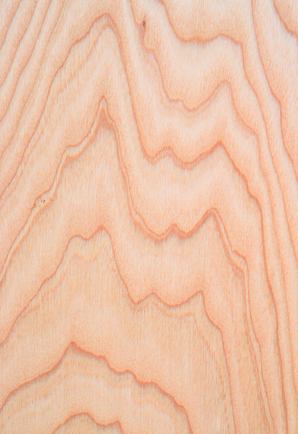 Textura de cinzas de madeira
 - Foto, Imagem