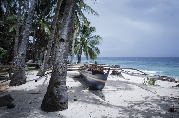 Philippinen, Dakak-Insel (Bohol), Kokospalmen und ein lokales hölzernes Fischerboot am Strand - Filmscan - Foto, Bild