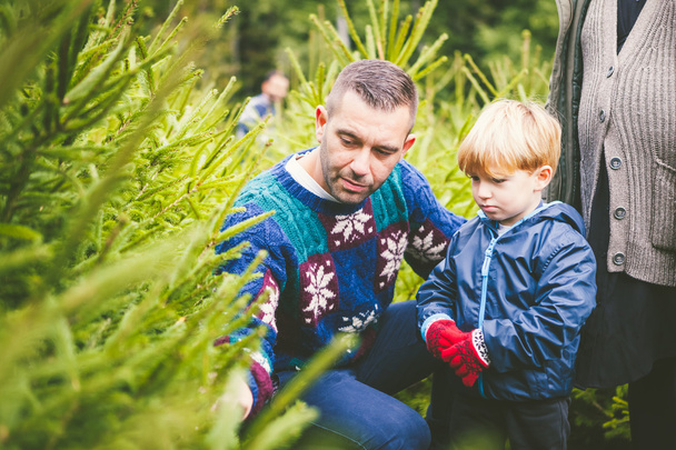 Dad and Son Choosing the Christmas Tree - Foto, imagen