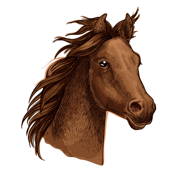 Retrato de cavalo marrom com crina ondulante
 - Vetor, Imagem