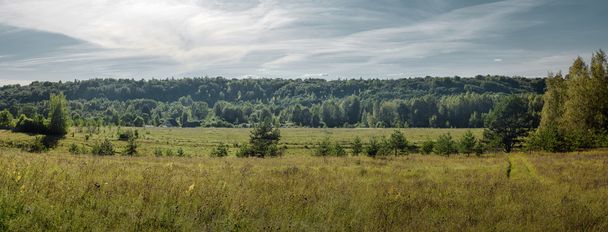 panorama summer landscape of green fields on the background forest and sky - Фото, зображення