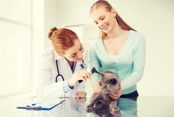 happy woman with cat and doctor at vet clinic - Foto, immagini