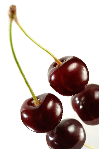 Two Cherries - Photo, Image