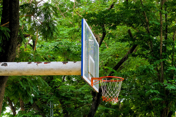 old basketball hoop with the big tree on background - Foto, afbeelding