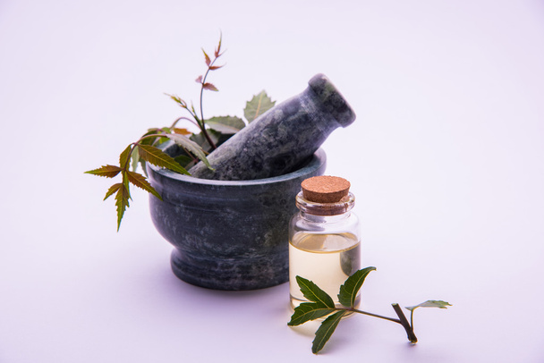 Ajurwedyjskie zioła Neem olej w butelce z zaprawy - Zdjęcie, obraz