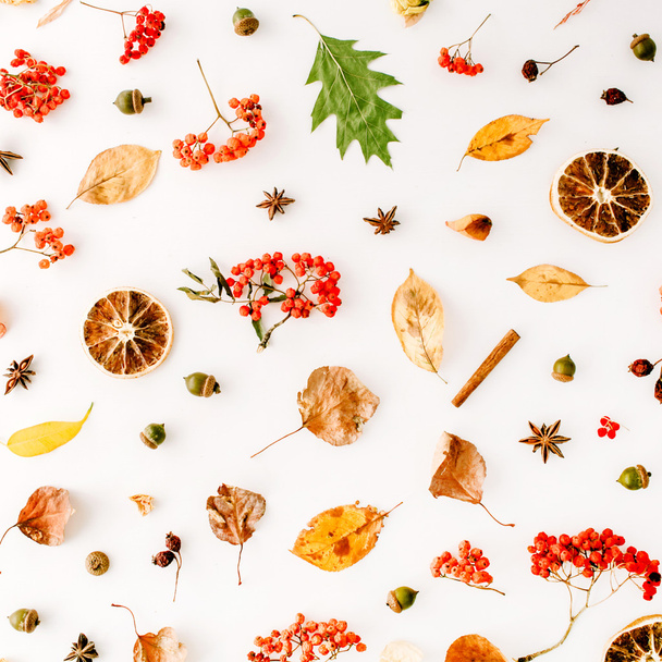 Herbstliche Blätter und Beeren - Foto, Bild