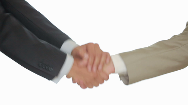 Una stretta di mano di affari con sfondo bianco, due uomini si stringono la mano
 - Filmati, video