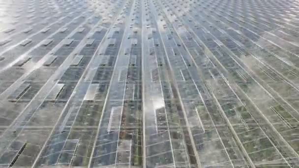 Luftaufnahme von landwirtschaftlichen Gewächshäusern - Filmmaterial, Video