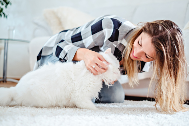 Chica jugando con su gato blanco
 - Foto, imagen