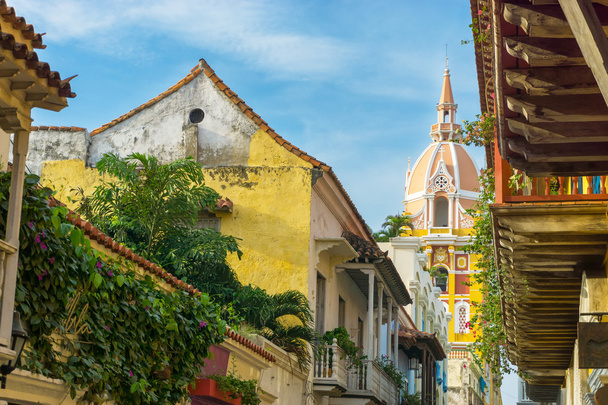 Cartagena kathedraal weergave - Foto, afbeelding