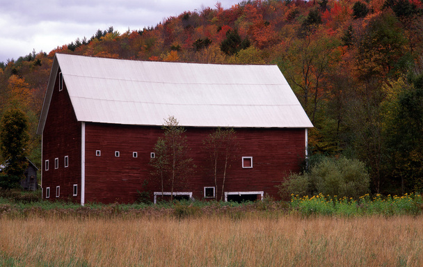 červená stodola - Fotografie, Obrázek