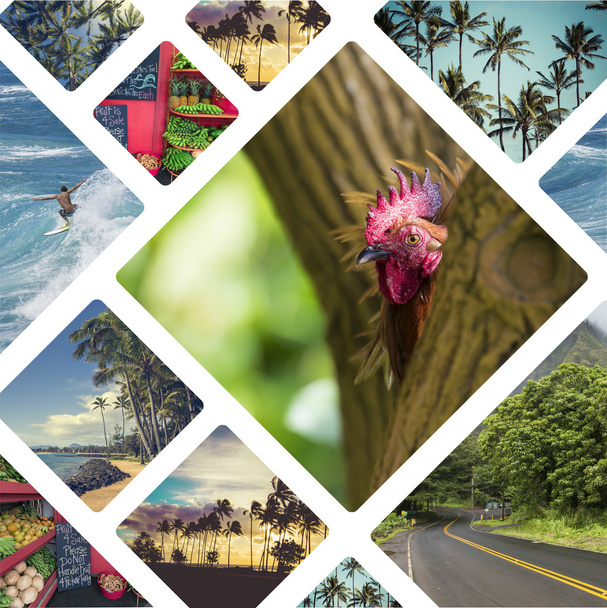 Colagem de imagens Havaí (EUA) - fundo de viagem (minhas fotos
) - Foto, Imagem