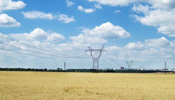Stromleitung, die durch Weizenfeld in die Stadt führt  - Foto, Bild
