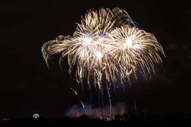 Huge bright fireworks - Photo, Image