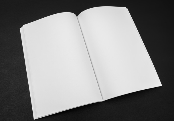 Blank catalog, magazines,book mock up on black background . - Photo, image