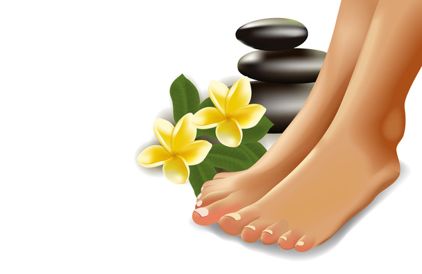 Concept SPA avec pieds féminins réalistes, frangipani et pierres. Illustration vectorielle
. - Vecteur, image