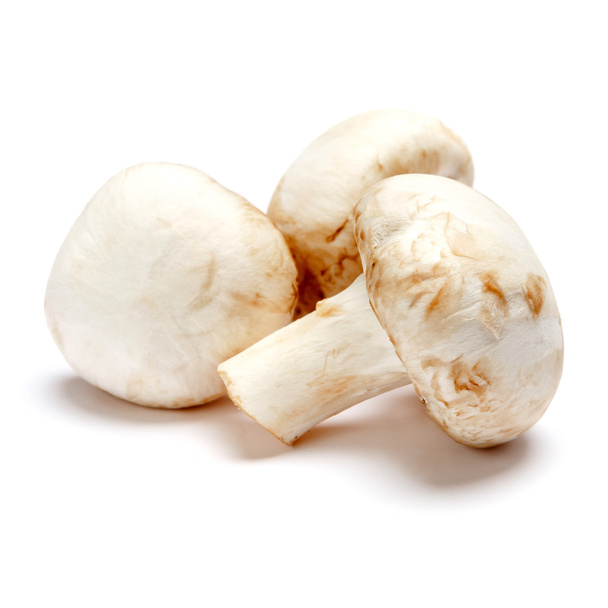 champignon mushroom isolated on white - Photo, Image