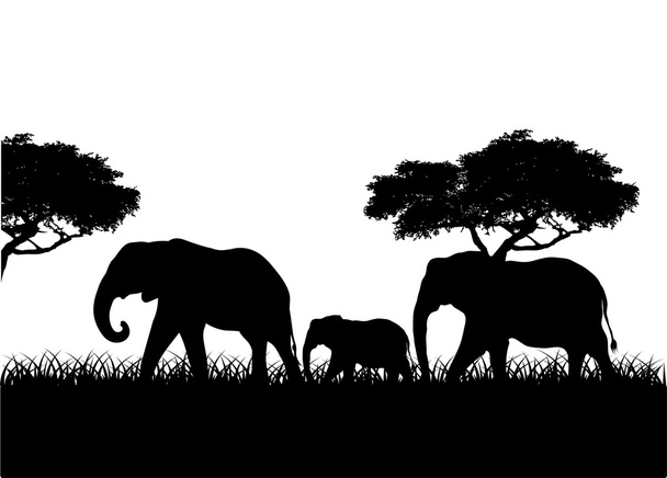 Familiensilhouette der Elefanten - Vektor, Bild