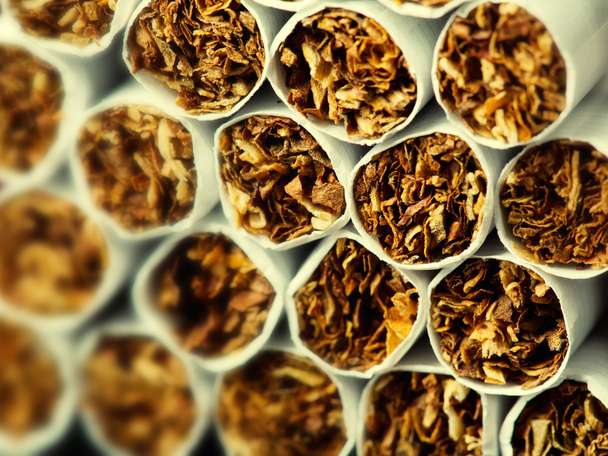 Τσιγάρα σε συσκευασία - Φωτογραφία, εικόνα