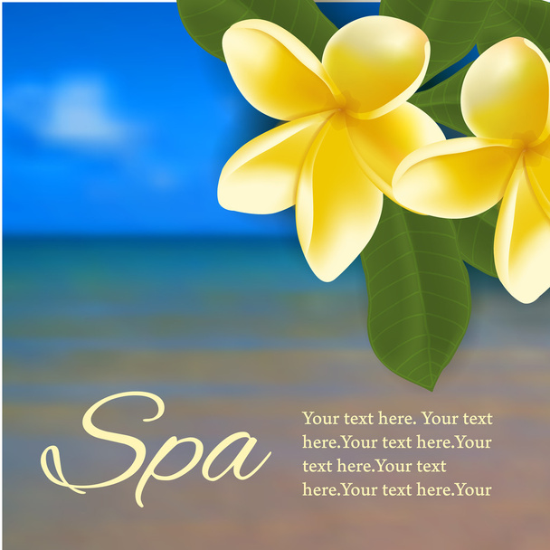 Spa concept with blurred seaside background and realistic vector frangipani - Vector, Image