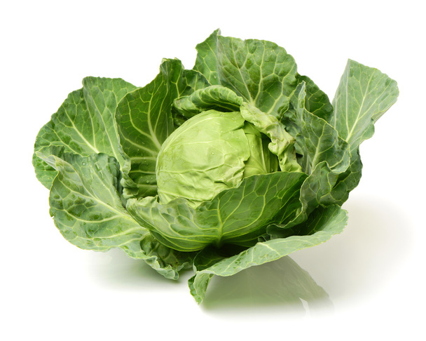 Green cabbage close up - Фото, изображение