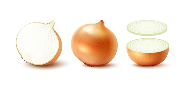 Set of Whole and Sliced Yellow Onion Bulbs - Vector, Image