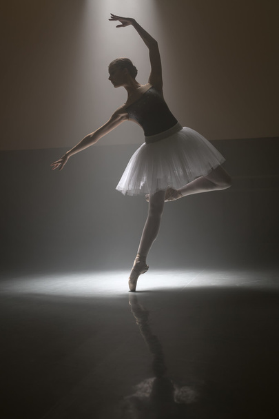 Ballerina in the white tutu - Valokuva, kuva