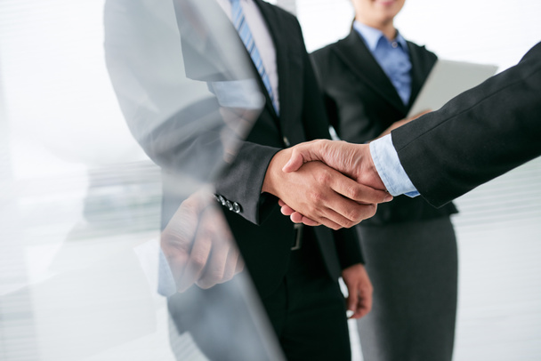 Entrepreneur shaking hand of partner - Photo, Image
