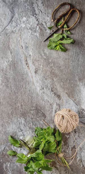 Sprig of mint in the garden green jar on a gray stone background - Φωτογραφία, εικόνα