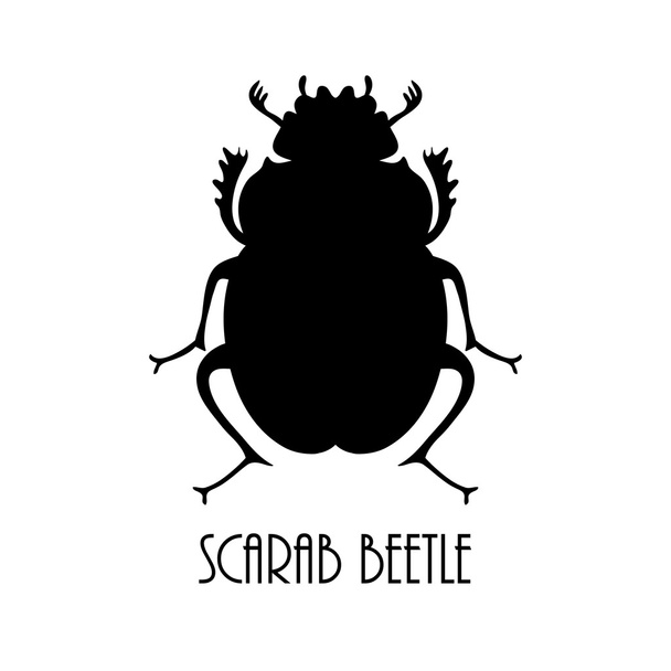 Vector black beetle, egyptian symbol. Lady bug logo template - Wektor, obraz