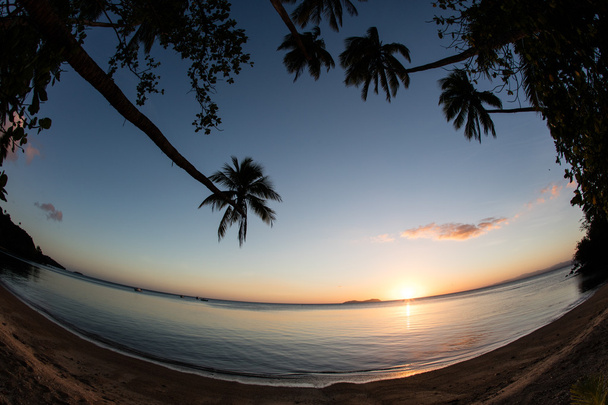 Sonnenuntergang, Palmen und Strand - Foto, Bild