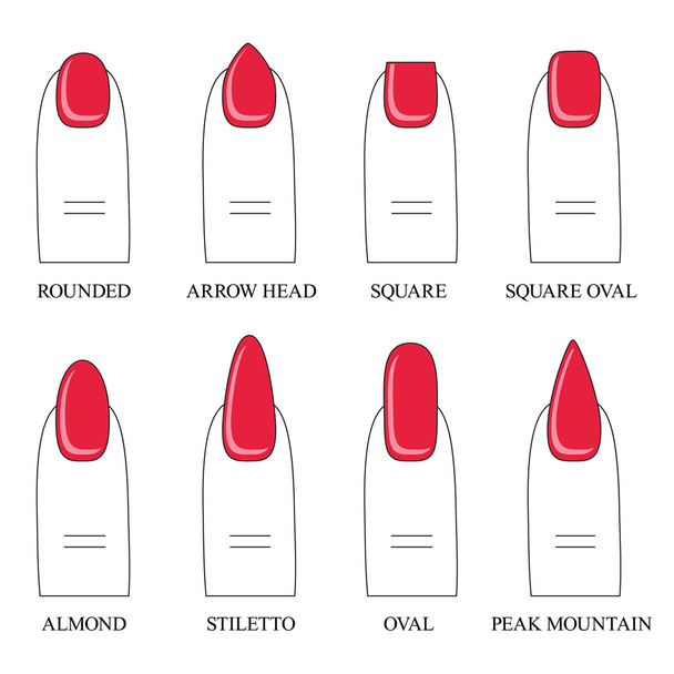 Vector illustration, different forms, shapes of nails. Manicure. - Vector, Image